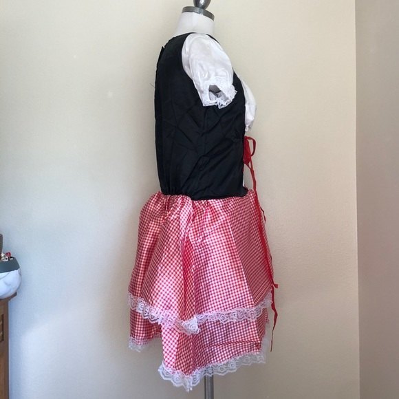 Beautiful Red Checkered Tyrolean Dirndl Dress - Picture 5 of 9